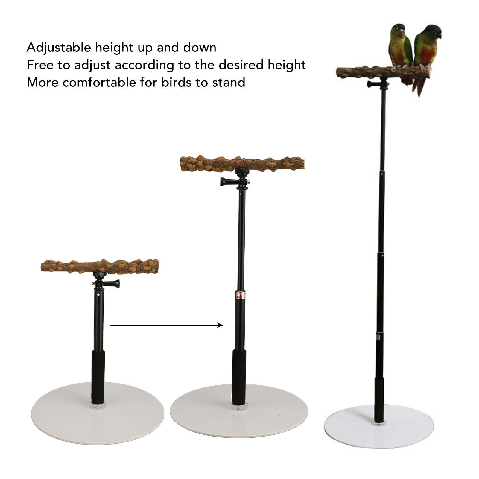 Amazon | インコ 鳥プレイスタンド 鳥用止まり木 オウムスタンド